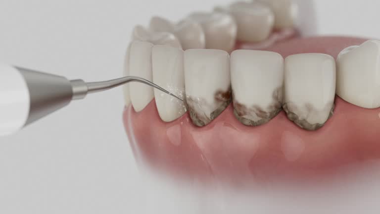 Reliable Dental contractor in Walled Lake, MI by Dentist Open Now